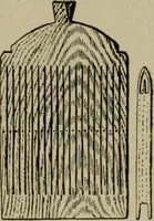 An illustration from Textiles and clothing (1907)