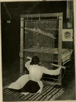 An illustration from Textiles and clothing (1907)