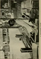 An illustration from Textiles and clothing (1907)