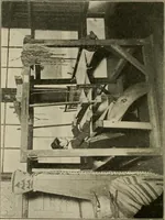 An illustration from Textiles and clothing (1907)