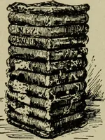 An illustration from Textiles and clothing (1907)