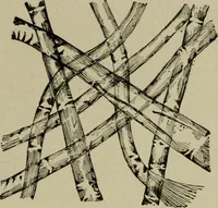 An illustration from Textiles and clothing (1907)