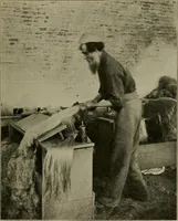 An illustration from Textiles and clothing (1907)