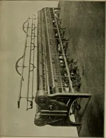 An illustration from Textiles and clothing (1907)