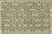 An illustration from Textiles and clothing (1907)