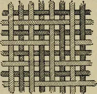 An illustration from Textiles and clothing (1907)