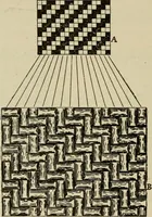 An illustration from Textiles and clothing (1907)