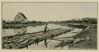 Picture 5 of 7 from Textiles; a handbook for the student and the consumer (1926), leaf 339