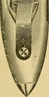 An illustration from Textile texts for cotton manufacturers : concerning the proper methods of equipping and running mills ... and a full list of the patented cotton machinery introduced and sold by the Draper Company (1903)