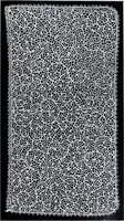 Picture 113 of 155 from Textilsammlung Iklé Katalog. Industrie- u. Gewerbemuseum St. Gallen, 1908 (1908), leaf 168