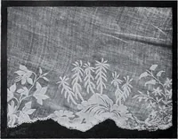 An illustration from Textilsammlung Iklé Katalog. Industrie- u. Gewerbemuseum St. Gallen, 1908 (1908)