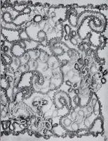 Picture 38 of 155 from Textilsammlung Iklé Katalog. Industrie- u. Gewerbemuseum St. Gallen, 1908 (1908), leaf 89