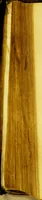 An illustration from 't Geestelyck roer van't coopmans schip, : dat is: trouwbericht, hoe dat een coopman, en coopvaerder, hem selven dragen moet in syne handelinge, in pays, ende in oorloge, voor God, ende de menschen, te water ende te lande, insonderheydt onder de heydenen in Oost ende West-Indien: ter eeren Gods, stichtinge syner gemeynten, ende saligheyt syner zielen: mitsgaders tot het tijtlick welvaren van het vaderlandt, ende syne familie, (1641)