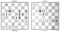 An illustration from The British Chess Magazine Volume 13 1893 (1893)