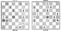 An illustration from The British Chess Magazine Volume 13 1893 (1893)