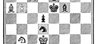 An illustration from The British Chess Magazine Volume 14 1894 (1894)