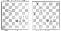 Picture 4 of 13 from The British Chess Magazine Volume 15 1895 (1895), leaf 159