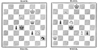 An illustration from The British Chess Magazine Volume 15 1895 (1895)