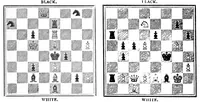 An illustration from The British Chess Magazine Volume 16 1896 (1896)