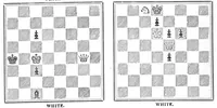 An illustration from The British Chess Magazine Volume 16 1896 (1896)