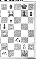 An illustration from The British Chess Magazine Volume 16 1896 (1896)