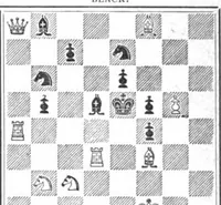 An illustration from The British Chess Magazine Volume 16 1896 (1896)