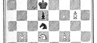 An illustration from The British Chess Magazine Volume 17 1897 (1897)