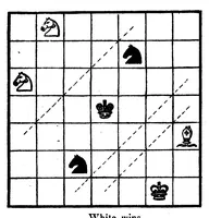 An illustration from The British Chess Magazine Volume 20 1900 (1900)