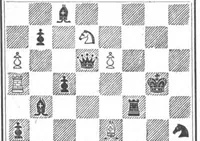 An illustration from The British Chess Magazine Volume 20 1900 (1900)