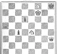 An illustration from The British Chess Magazine Volume 20 1900 (1900)