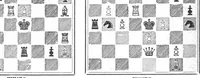 An illustration from The British Chess Magazine Volume 23 1903 (1903)