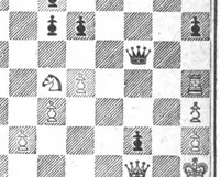 An illustration from The British Chess Magazine Volume 23 1903 (1903)