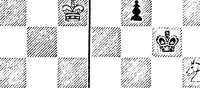 An illustration from The British Chess Magazine Volume 24 1904 (1904)