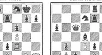 An illustration from The British Chess Magazine Volume 26 1906 (1906)