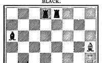 An illustration from The British Chess Magazine Volume 30 1910 (1910)