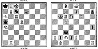 An illustration from The British Chess Magazine Volume 36 1916 (1916)