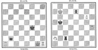 An illustration from The British Chess Magazine Volume 36 1916 (1916)