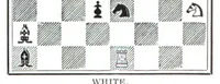 An illustration from The British Chess Magazine Volume 36 1916 (1916)