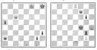 An illustration from The British Chess Magazine Volume 39 1919 (1919)