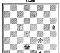 An illustration from The British Chess Magazine Volume 41 1921 (1921)