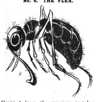 An illustration from The Magic Wand, Vol IV, September 1913 To August 1914 (1914)