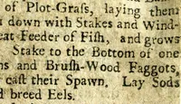 An illustration from The school of recreation; 1732 (1732)
