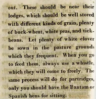 An illustration from The sportsman's directory ; or park and gamekeeper's companion; 1815 (1815)