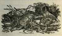 An illustration from The sportsman's directory ; or park and gamekeeper's companion; 1815 (1815)