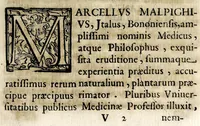 Picture 11 of 15 from Theatron : in quo maximorum Christiani orbis pontificum archiatros (1696), leaf 159