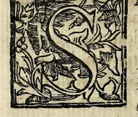 An illustration from Theatron : in quo maximorum Christiani orbis pontificum archiatros (1696)