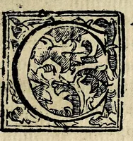 An illustration from Theatron : in quo maximorum Christiani orbis pontificum archiatros (1696)