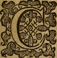 An illustration from Theatrum chemicum britannicum : containing severall poeticall pieces of our famous English philosophers, who have written the hermetique mysteries in their owne ancient language (1652)