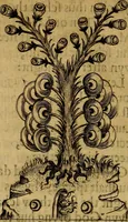 An illustration from Theatrum chemicum britannicum : containing severall poeticall pieces of our famous English philosophers, who have written the hermetique mysteries in their owne ancient language (1652)