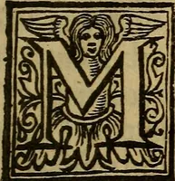 An illustration from Theatrum chemicum britannicum : containing severall poeticall pieces of our famous English philosophers, who have written the hermetique mysteries in their owne ancient language (1652)